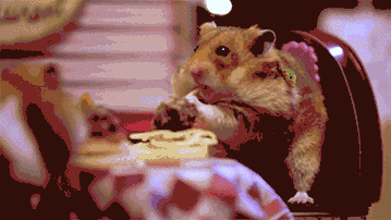 A video of a hamster eating spaghetti